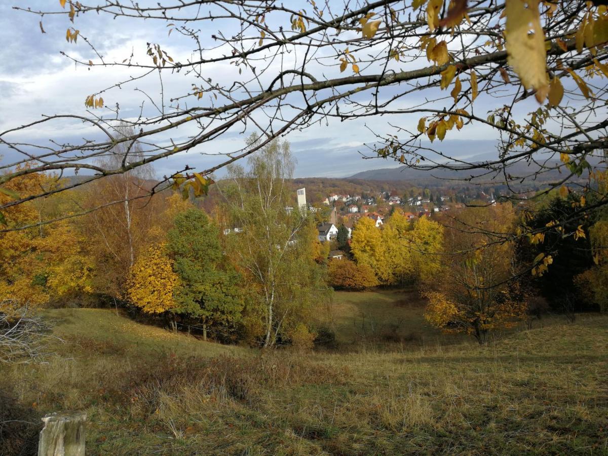 Ravensbergblick - Harzlich Willkommen In Bad Sachsa Apartment Екстериор снимка